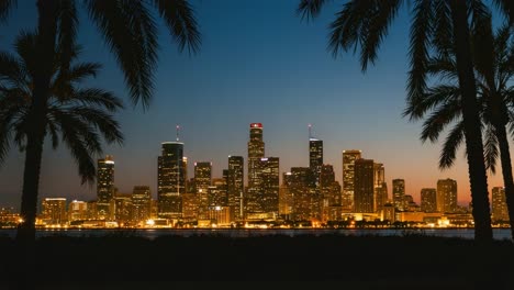 dusk to night: a stunning transition of a city skyline illuminated by golden lights, framed by tropical palm trees against a twilight sky