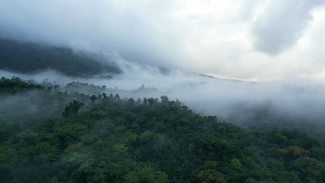 Brumosas-Nubes-Bajas-Cuelgan-Sobre-El-Bosque-Tropical-Del-Sudeste-Asiático-Drone-Dolly