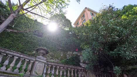 sunlight shining through trees in a garden