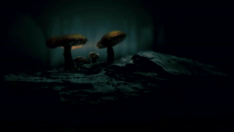 mystical forest / magical mushroom scene.