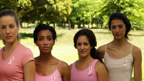 Diverse-women-wearing-pink-for-breast-cancer-awareness-in-the-park