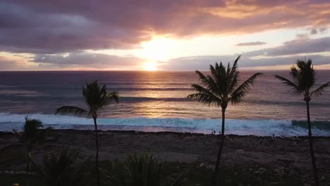 Cinematic-aerial-push-through-palm-tree-silhouettes-revealing-a-bright-orange-golden-sunset-over-the-pacific-ocean-in-Oahu-Hawaii