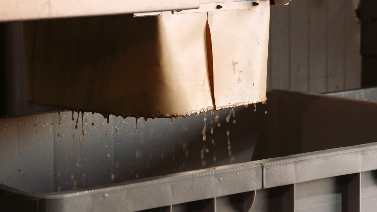 Processing of wine grapes and its juice as part of the wine-making process