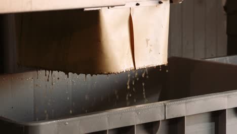 processing of wine grapes and its juice as part of the wine-making process