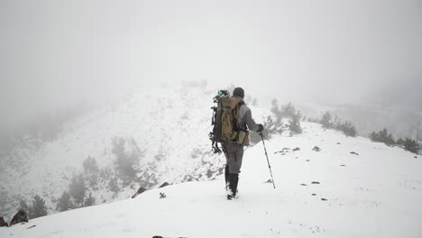 archery bow elk hunting in the snow in montana in october in the snow