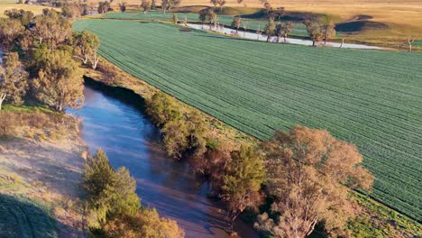 drone footage glides above a winding river bordered by green farmland and trees in rural tamworth, australia, under clear morning sunlight