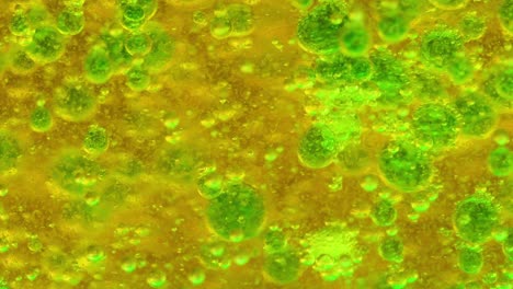 close-up view of green bubbles forming and moving in a yellow liquid, creating a dynamic visual effect.