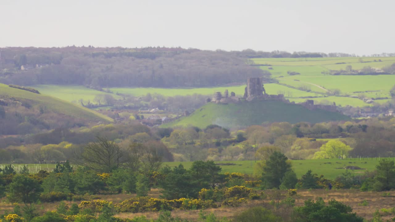 Vista delle rovine del Castello di Corfe su una collina circondata da campi e boschi ondulati della campagna del Dorset in Inghilterra.
