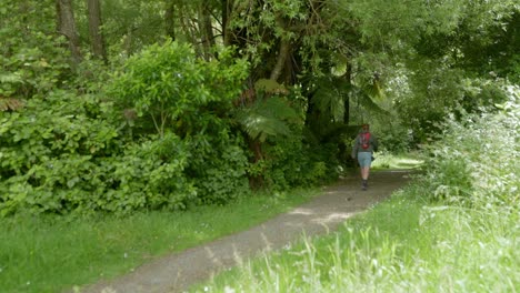 A-video-clip-of-a-man-walking-down-a-path-walking-towards-a-forest