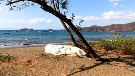 bote de madera en una playa tropical con un árbol en un día soleado, playa coco en guanacaste, costa rica