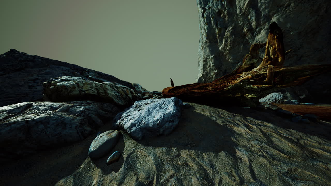 hiperlapso de troncos en una playa de arena