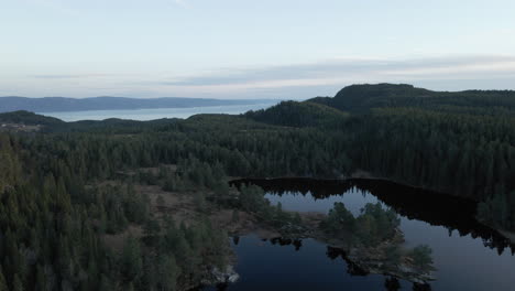 Panorama-De-Lagos-Rodeados-De-Un-Espeso-Bosque-Verde-En-El-Campo