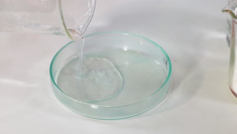 sodium acetate forming crystals in a petri dish