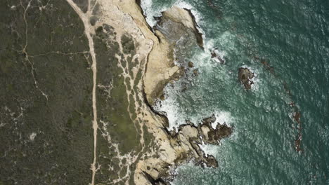 birdseye view over the limestone cliff tops of morrillos wildlife refuge in cabos puerto rico on the caribbean sea