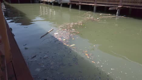 a layer of sludge and garbage floating in the water at the docks show the problem with pollution in the sea.