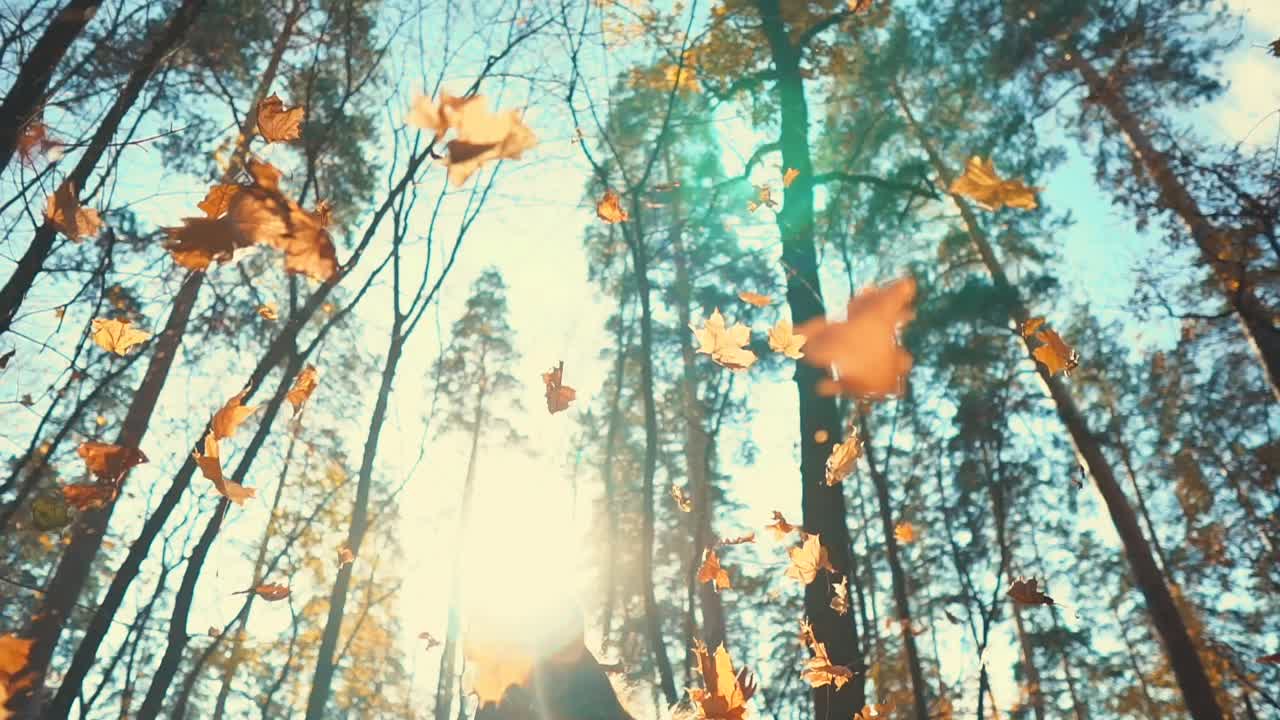 가을 잎에서 놀고 있는 여자