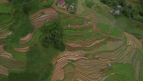 aerial view of lush green terraced rice fields and rural landscape