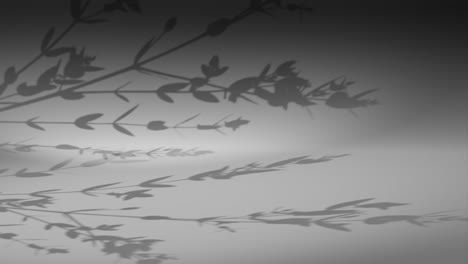 plant leaf shadow on dark grey corner wall gently move from breeze wind rendering animation