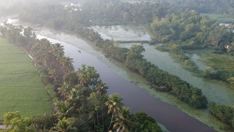 sunrise in a asian paddy field village,sun beam reflection ,river,aerial shot,irrigation,mist,mangroves