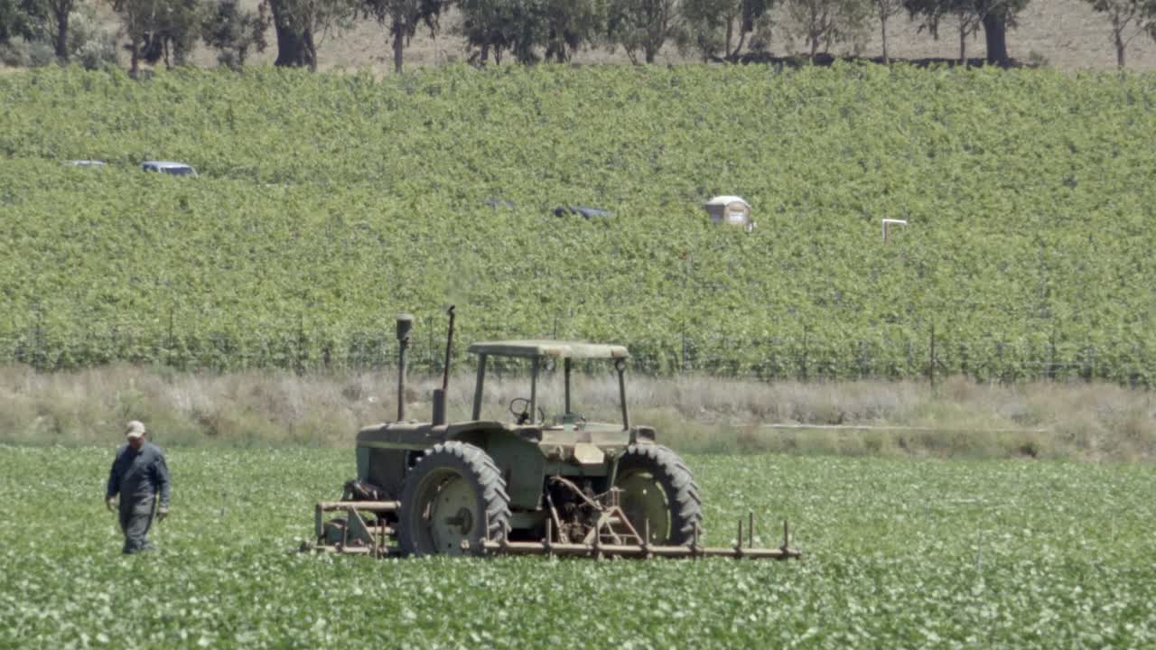 캘리포니아 롬포크 계곡의 풍부한 농업 풍경에 있는 트랙터 픽업트럭 농부 콩밭과 포도밭