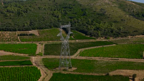 Aerial-establishing-shot-of-a-electricity-pylon-in-the-middle-of-a-vineyard