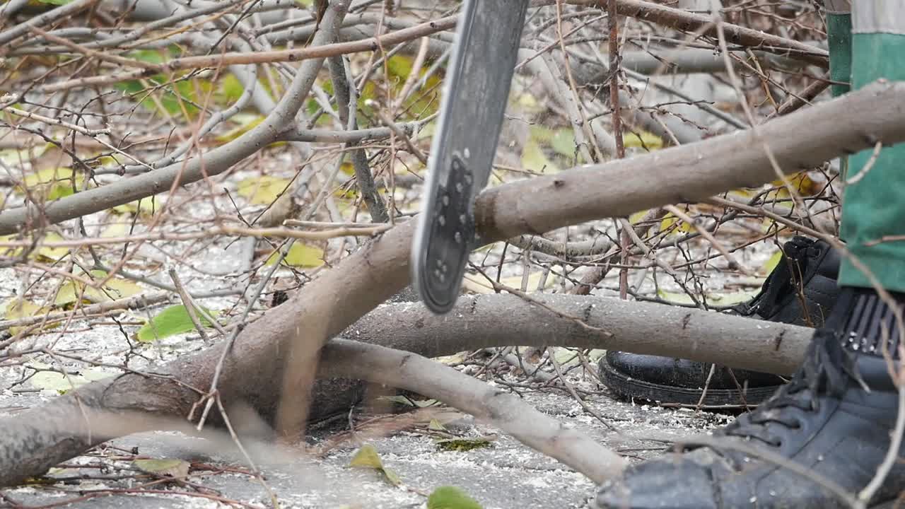 체인으로 는 가지와 나가지