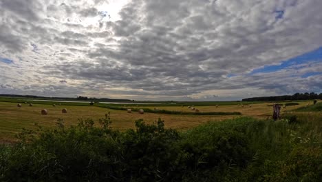 time lapse with sun and shadow on yellow field on a cloudy day