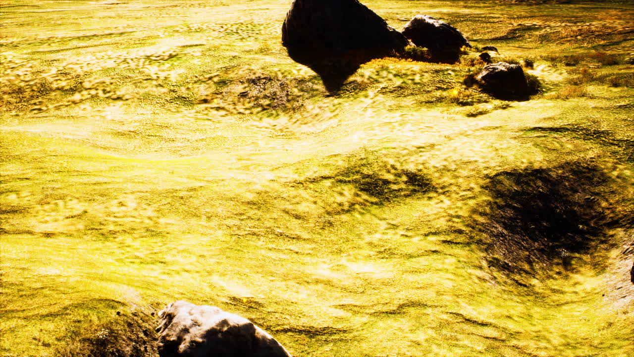 여름 에 스코틀랜드 고원 에서