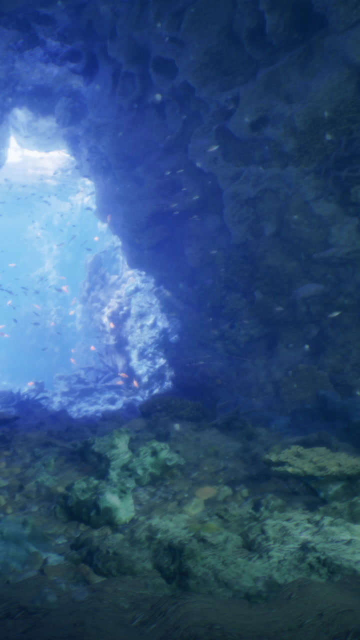 Underwater cave exploration reveals vibrant marine life in serene blue waters