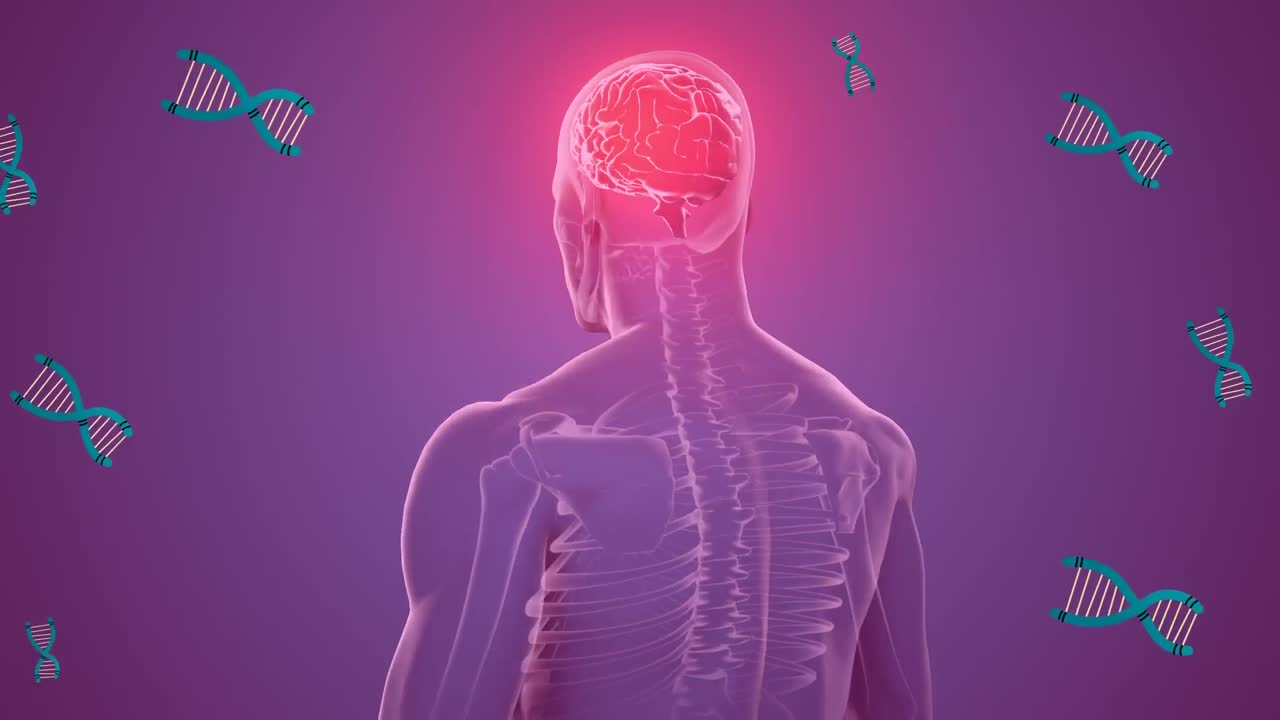 보라색 배경에 인간 모델 위에 dna의 애니메이션