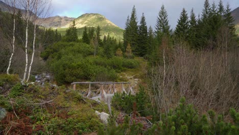 colourful fairytale mountain scenery of a valley with a stream and wooden bridge in west tatras mountains, slovakia