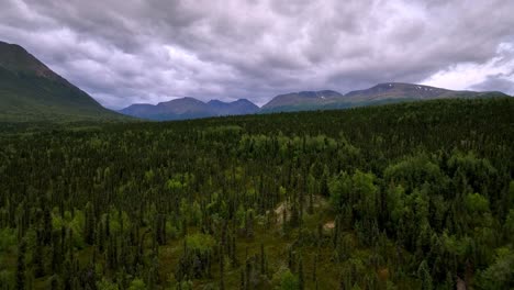 aerial tilt up to alaska wilderness