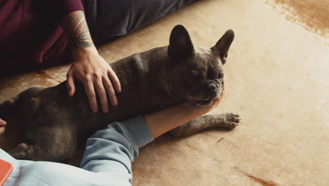 draufsicht auf ein paar, das seinen auf dem boden liegenden bulldoggenhund in wohnzimmer 1 streichelt