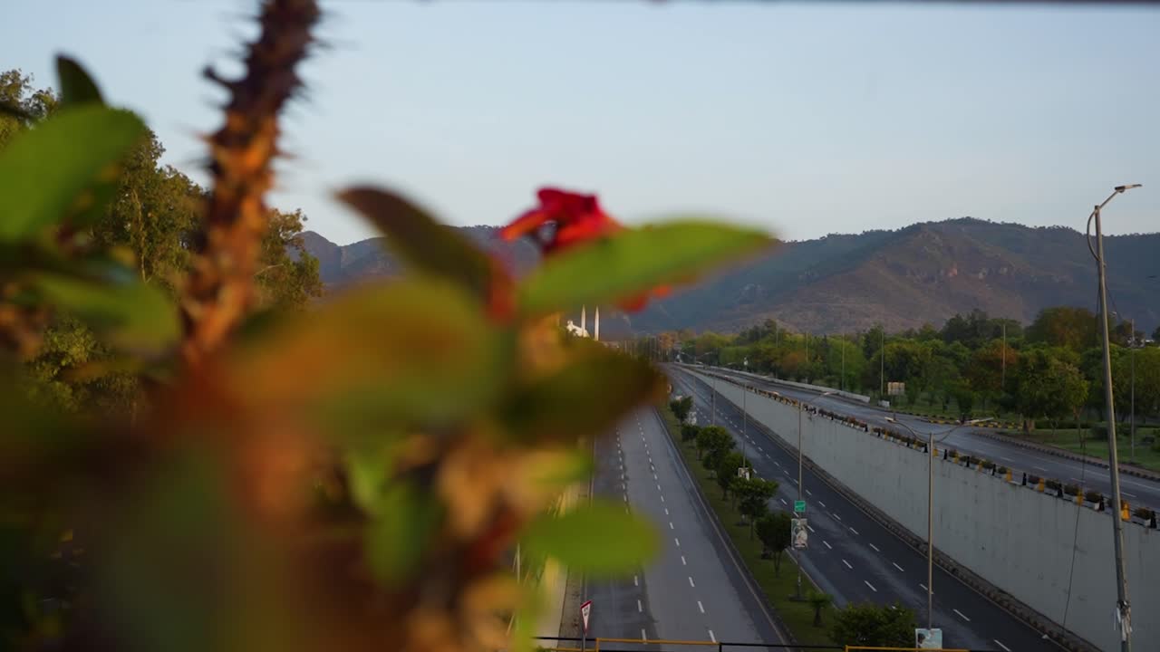 Revealing Faisal mosque Islamabad with Margala from Cactus Flowers Faisal Avenue
