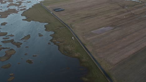 Tilting-drone-shot-of-sheep-being-herded-by-a-crofter-on-Berneray-beach,-with-the-machair-in-the-background