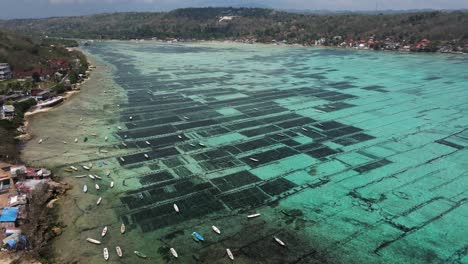 scenic panoramic aerial overview of seaweed farm on turquoise coastline, nusa lembongan, bali, indonesia with boats anchored along shallow waters