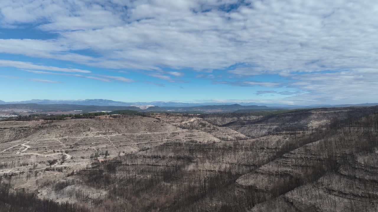 vasta área forestal quemada después de devastadores incendios forestales en cataluña, españa, antena
