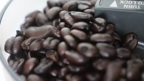Close-up-of-beautiful-rich-brown-espresso-beans-pouring-down
