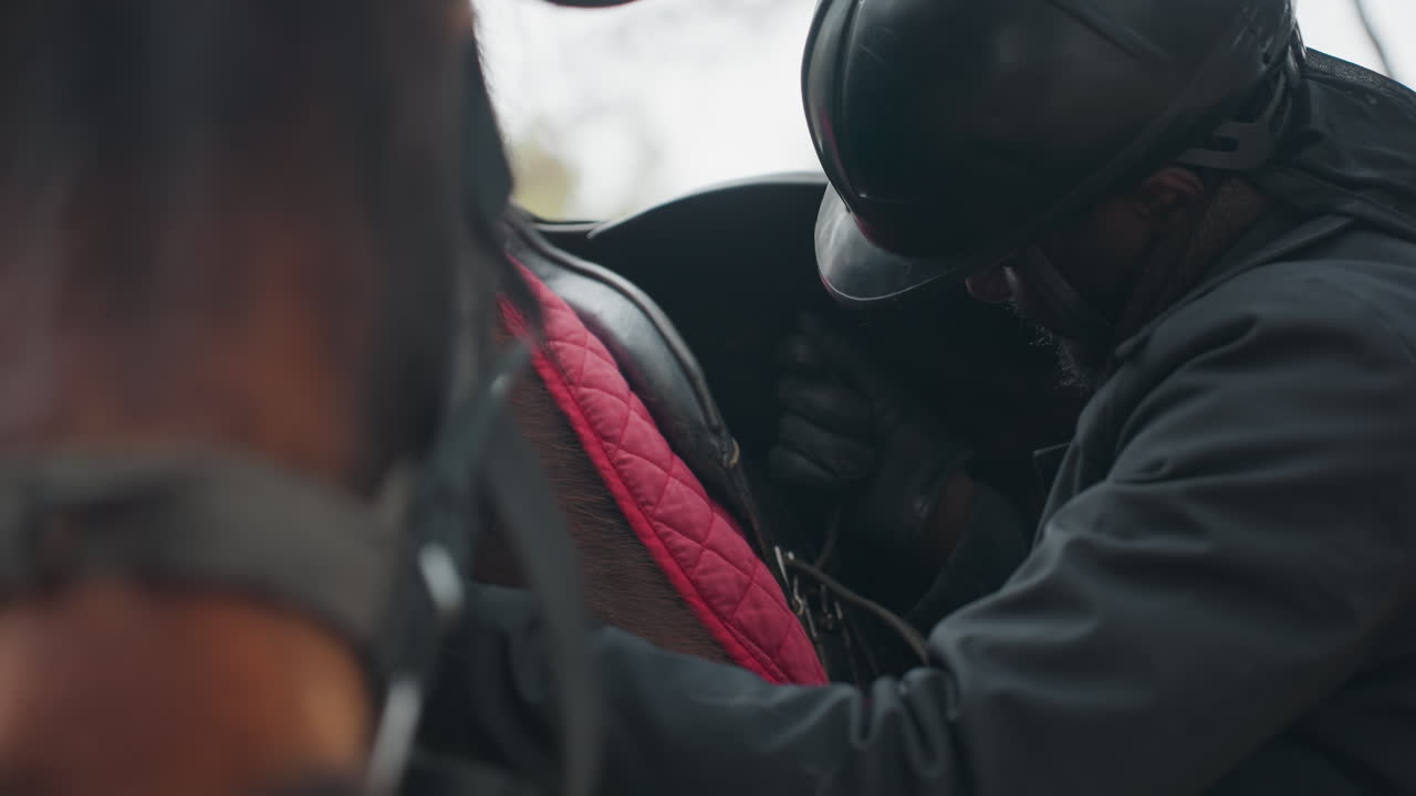 Primer plano de un jinete ajustando la silla y la almohadilla sobre un caballo, detalle de la silla y la cincha aseguradas al caballo, vista detallada de un jinete colocando cuidadosamente la silla y la almohadilla roja sobre un caballo castaño en un cercado al aire libre