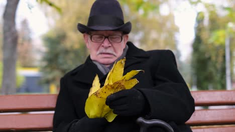 an old lonely man in a black coat and hat sits in an autumn park and holds yellow leaves an old lonely man in a black coat and hat sits in an autumn park and holds yellow leaves happy elderly people