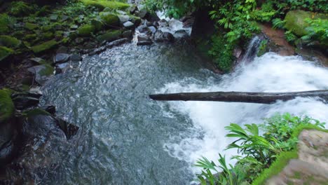 Lush-greenery-surrounds-a-tranquil-river-in-Oxapampa,-Peru,-with-a-serene-water-flow