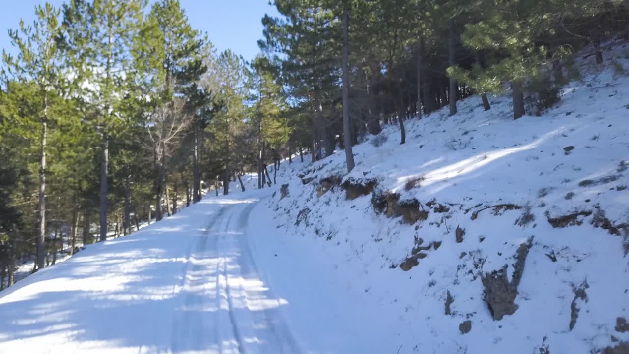 Flying over a snowed and iced road in the woods with mediterranean pines on a sunny day
