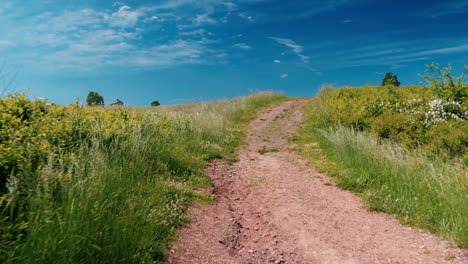 Fand-An-Einem-Schönen-Tag-Einen-Weg