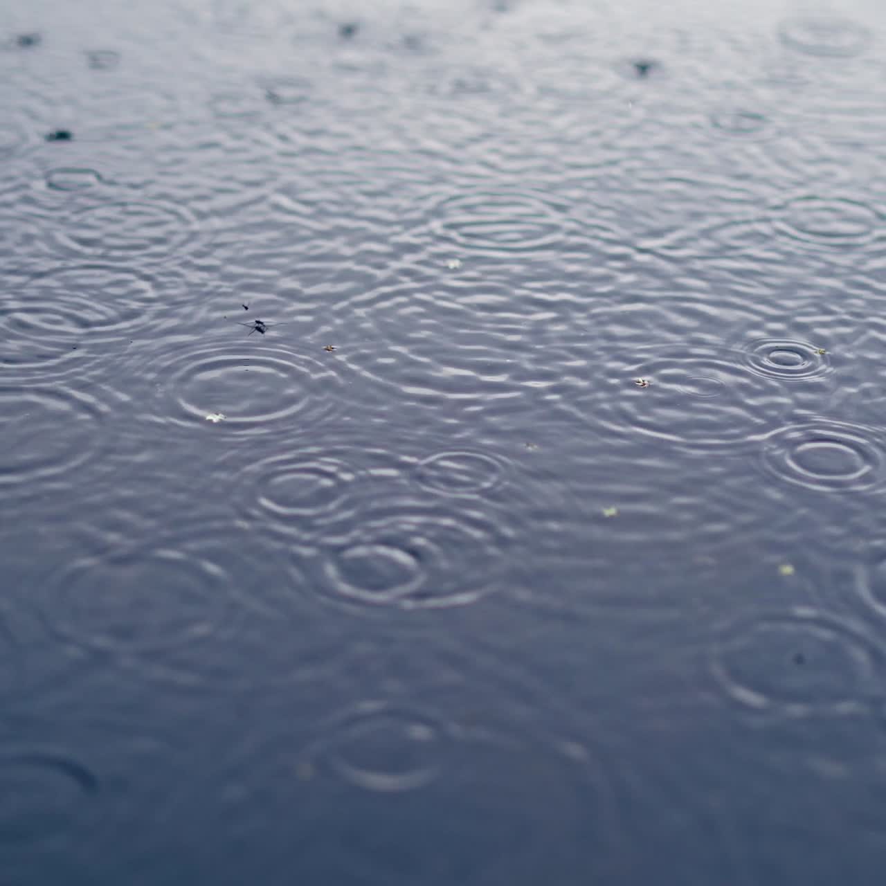 강 표면에 떨어지는 물방울