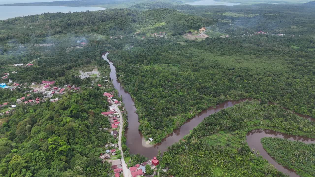 Drone aerial view of trees tropical rainforest jungle west sumatra Mentawai Islands Regency indonesia