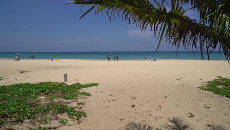 hermosa playa tropical mar con palmera de coco