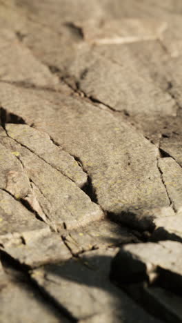 close up of a rough stone surface