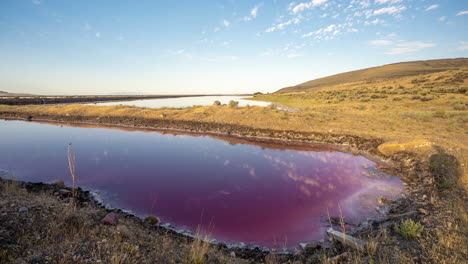 Zeitraffer,-Spiegelreflexion-Des-Sommerhimmels-Auf-Rosa-Lila-Wasserlagune