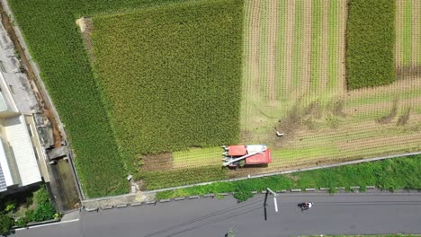 aerial drone footage cultivated rice paddy field, farmer harvesting the crops with multifunctional paddy harvesting machine rice harvester tractor at doliu yunlin city taiwan