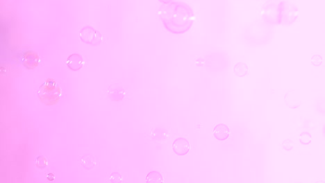 soap bubbles on light pink background a lot of soap bubbles isolated on light pink background